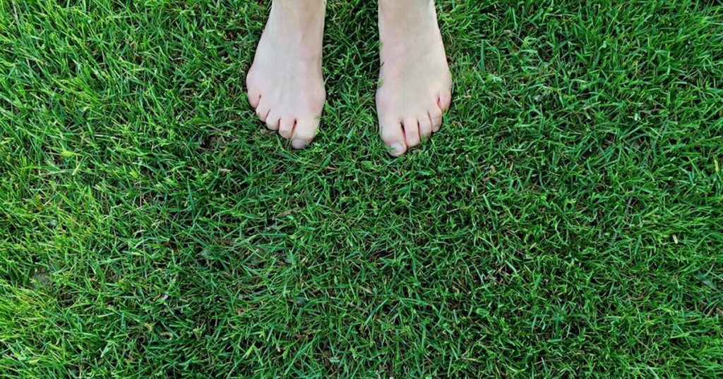 Earthing คืออะไร? เดินเท้าเปล่าสัมผัสดิน-หญ้า ศาสตร์เชื่อมตัวเรากับพื้นโลก