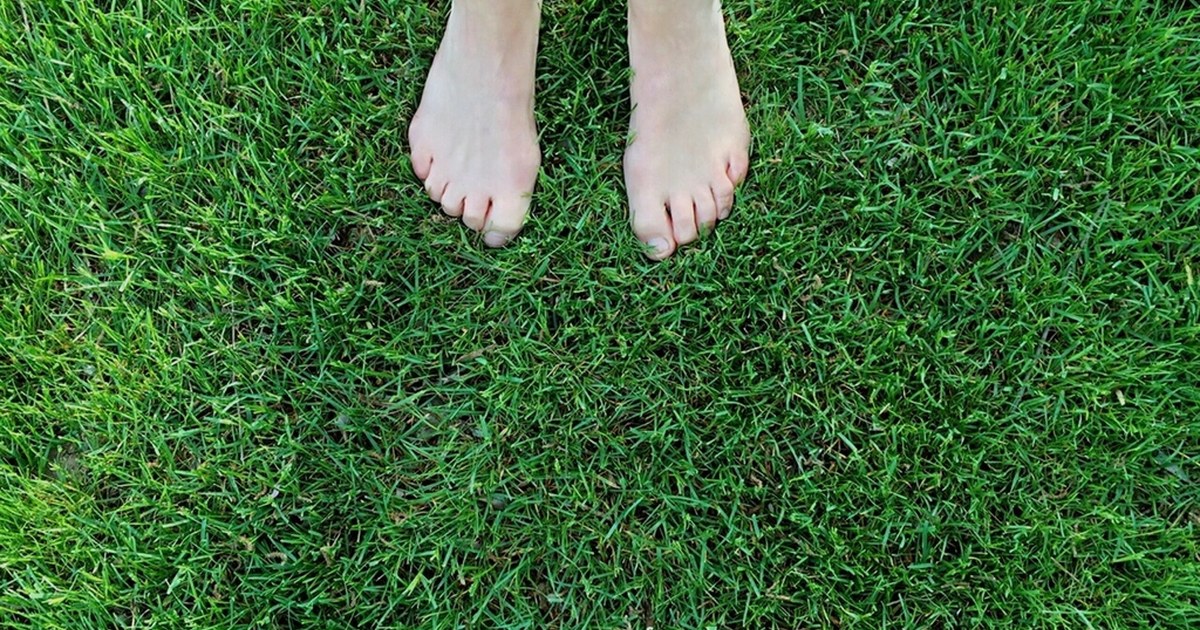 Earthing คืออะไร? เดินเท้าเปล่าสัมผัสดิน-หญ้า ศาสตร์เชื่อมตัวเรากับพื้นโลก