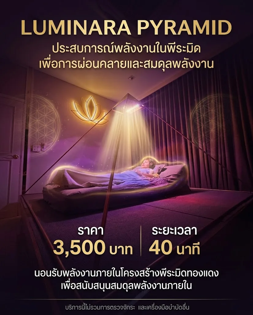 อุปกรณ์ Light Mandalas ทุกรุ่นพร้อมราคาในประเทศไทย
